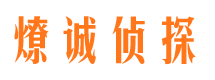 普陀区市调查公司